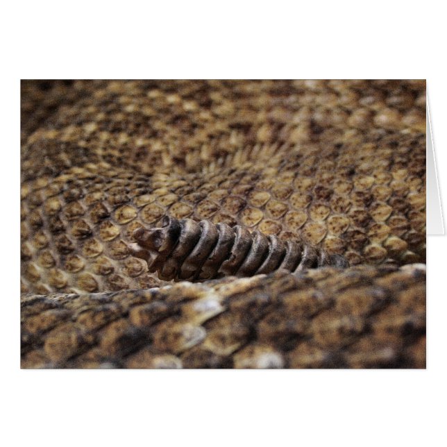 Houston Zoo (Vorderseite (Horizontal))