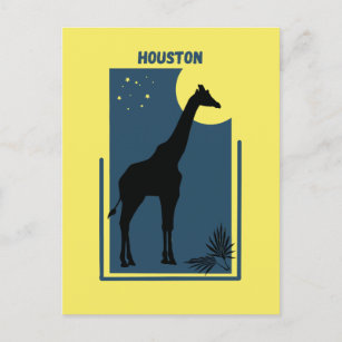 Houston Zoo Texas Vintag Giraffe Postkarte