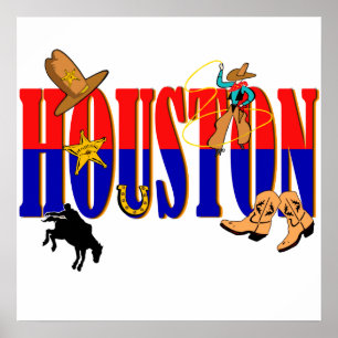 HoustonPics Poster