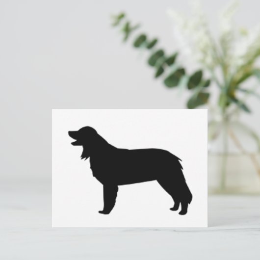 Hovawart-Silhouette Postkarte (Stehend Vorderseite)