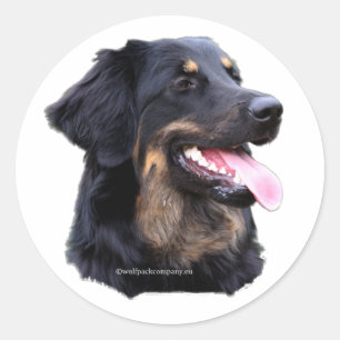 hovawart zwart blondz runder aufkleber