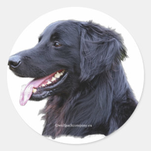 hovawart zwart runder aufkleber