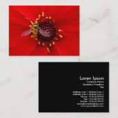 Hover Fly auf einem Dahlia, Mini-Foto Visitenkarte (Vorne/Hinten)