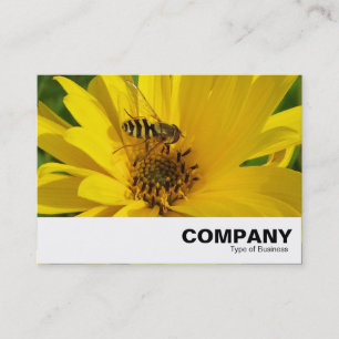 Hover Fly auf einem gelben Chrysanthemum Visitenkarte