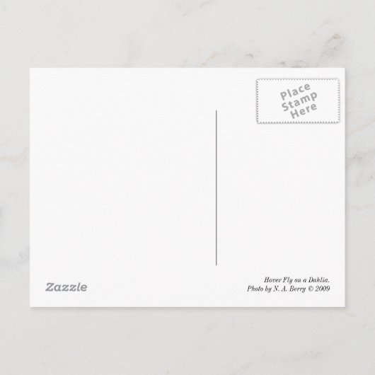 Hover Fly on a Dahlia Postkarte (Rückseite)