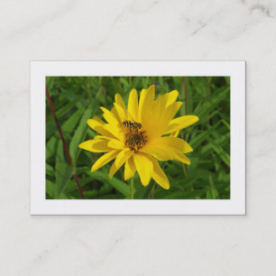 Hover Fly on a Yellow Chrysanthemum (Bordering) Visitenkarte