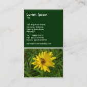 Hover Fly on a Yellow Chrysanthemum - Dunkelgrün Visitenkarte (Rückseite)
