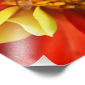 Hover Fly on Collarette Dahlia Fotodruck (Ecke)