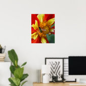 Hover Fly on Collarette Dahlia Photographic Poster (Heimbüro)