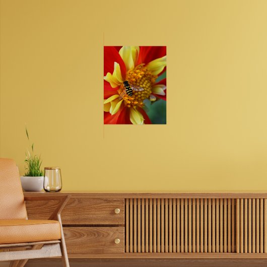 Hover Fly on Collarette Dahlia Photographic Poster (Wohnzimmer 2)