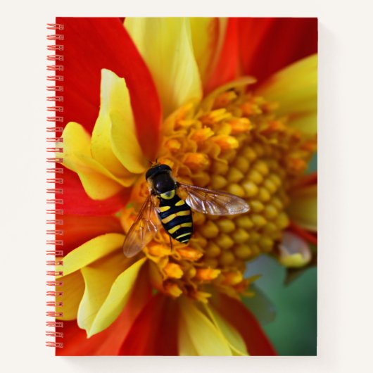 Hover Fly on Orange and Yellow Dahlia Notizblock (Vorderseite)