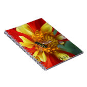 Hover Fly on Orange and Yellow Dahlia Notizblock (Rechte Seite)