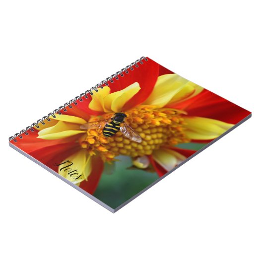 Hover Fly on Orange and Yellow Dahlia Notizblock (Linke Seite)