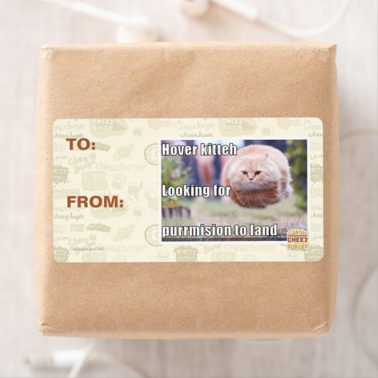 Hover kitteh (Insitu)