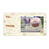 Hover kitteh (Vorne)