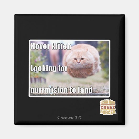 Hover kitteh magnet (Vorne)