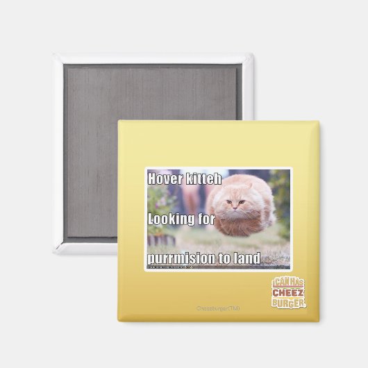 Hover kitteh magnet (Vorderseite/Rückseite)