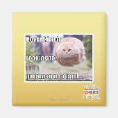 Hover kitteh magnet (Vorne)