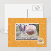 Hover kitteh postkarte (Vorne/Hinten)