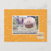 Hover kitteh postkarte (Vorderseite)