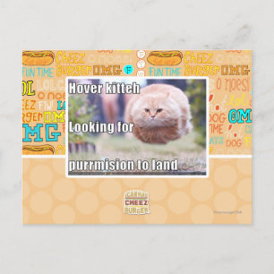 Hover kitteh postkarte
