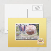 Hover kitteh postkarte (Vorne/Hinten)