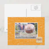 Hover kitteh postkarte (Vorne/Hinten)