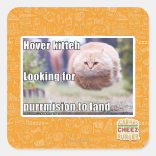 Hover kitteh quadratischer aufkleber