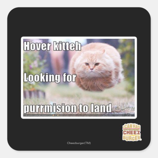 Hover kitteh quadratischer aufkleber (Vorderseite)