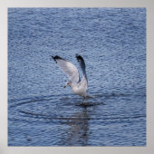 Hover Poster (Vorne)