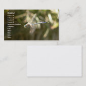 Hoverer Visitenkarte (Vorne/Hinten)