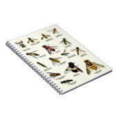 Hoverflies Großbritanniens - Notizbuch Notizblock (Rechte Seite)