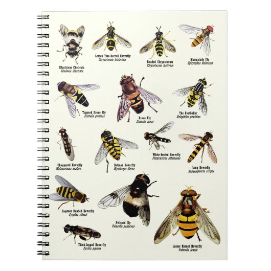 Hoverflies Großbritanniens - Notizbuch Notizblock (Vorderseite)