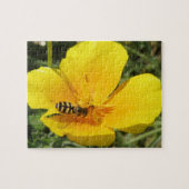 Hoverfly and Blume Puzzle (Horizontal)