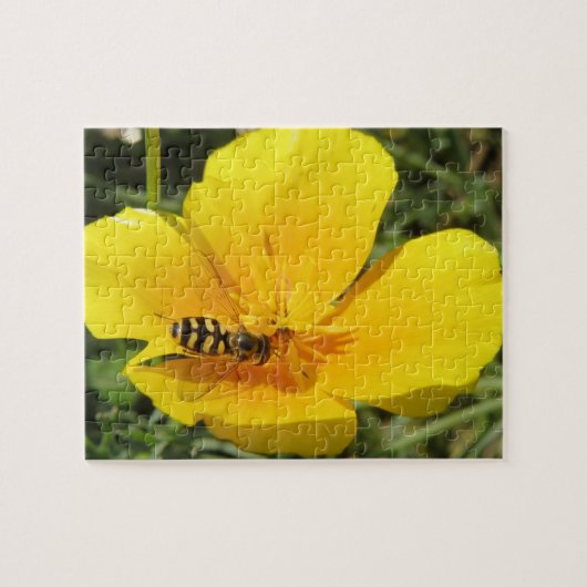 Hoverfly and Blume Puzzle (Horizontal)