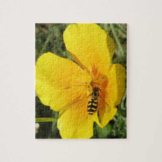 Hoverfly and Blume Puzzle (Vertikal)