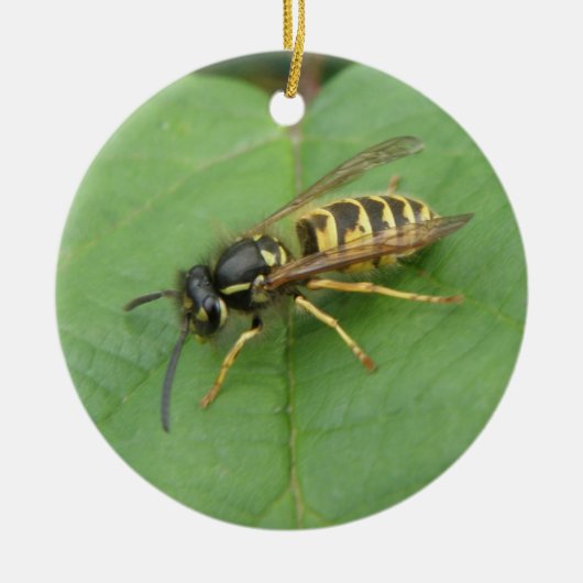 Hoverfly auf dem Leaf Custom Geburtstag Keramikornament (Vorne)