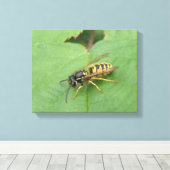 Hoverfly auf der linken Leinwand (Insitu (Holzboden))