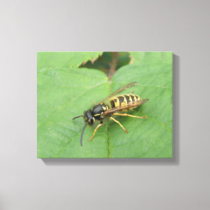 Hoverfly auf der linken Leinwand