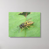 Hoverfly auf der linken Leinwand (Vorderseite)
