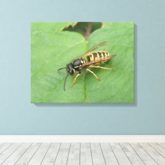 Hoverfly auf der linken Leinwand (Insitu (Holzboden))