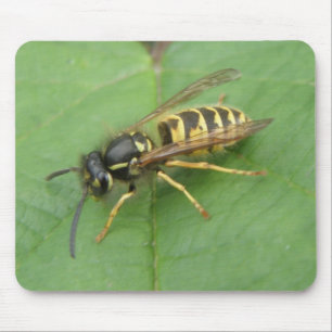 Hoverfly auf der linken Mousepad
