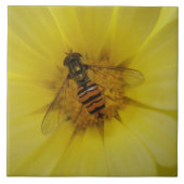 Hoverfly auf der Marigold Tile Fliese (Vorderseite)