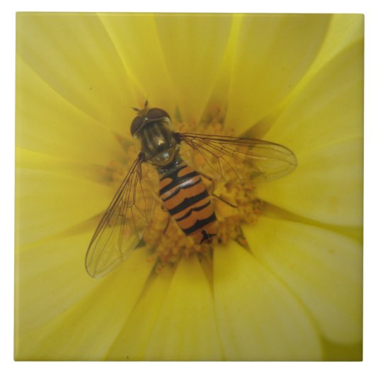 Hoverfly auf der Marigold Tile Fliese (Vorderseite)