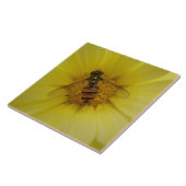 Hoverfly auf der Marigold Tile Fliese (Seite)