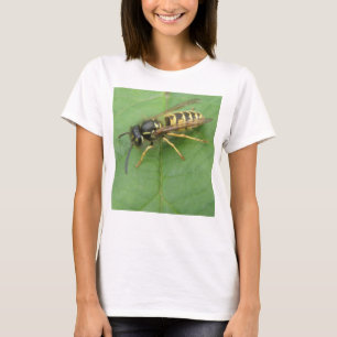 Hoverfly auf einem Leaf Ladys T-Shirt