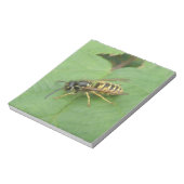 Hoverfly auf einem leaf Notepad Notizblock (Rotiert)