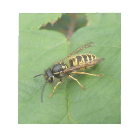 Hoverfly auf einem leaf Notepad Notizblock (Vorderseite)