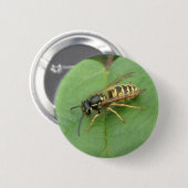 Hoverfly auf einem linken Knopf Button (Vorne & Hinten)