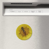 Hoverfly auf einem Marigold Magnet (In Situ (Geschirrspüler))